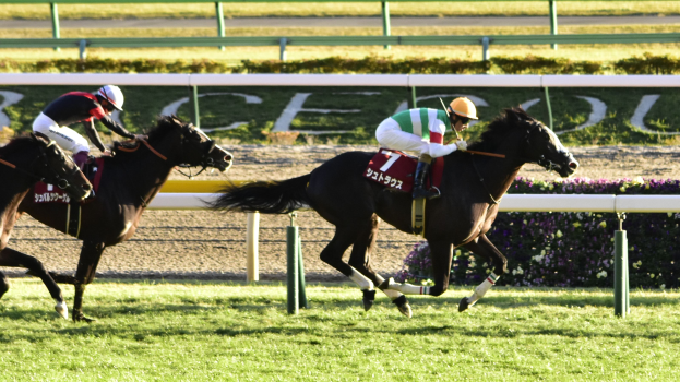 Zwei Jockeys auf Pferden rasen eine Bahn entlang, tragen Helme und sind von grünem Gras, Pflanzen und Blumen umgeben, mit einem Geländer und einer Texttafel im Hintergrund.