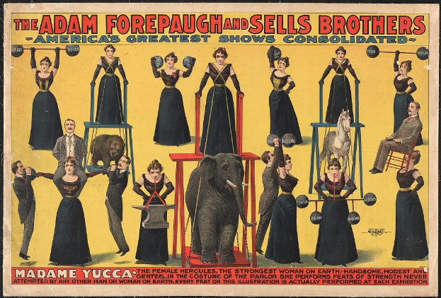 Plakat für "Adam Forepaugh und Sells Brothers, Americas Greatest Shows Consolidated" mit Performern auf Hockern, einem Elefanten in der Mitte, einigen mit Gegenständen und Text.