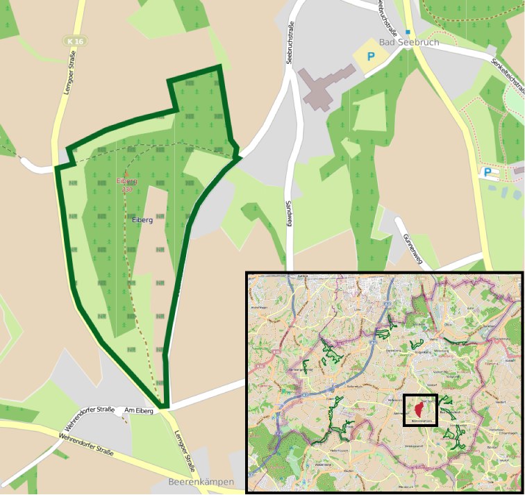 Stadt Solingen bündelt Informationen zur Nachhaltigkeit