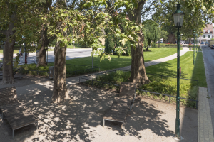 Ein Park mit Bänken und Bäumen, umgeben von Gras, Pflanzen, Geländern, Laternenpfählen und Fahrzeugen auf der Straße, mit Gebäuden und einem klaren blauen Himmel im Hintergrund.