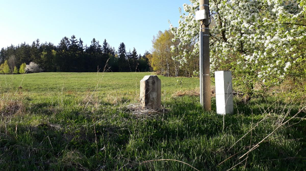 Eine grüne Wiese mit einem zentralen Baum, umgeben von Bäumen unter einem klaren blauen Himmel, mit einem Pfahl und zwei Betonblöcken im Vordergrund, wahrscheinlich Teil eines Denkmals.