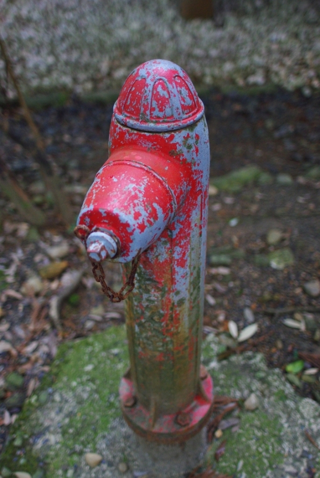 Nahaufnahme eines Wasserrohrs vor einem unscharfen Hintergrund.