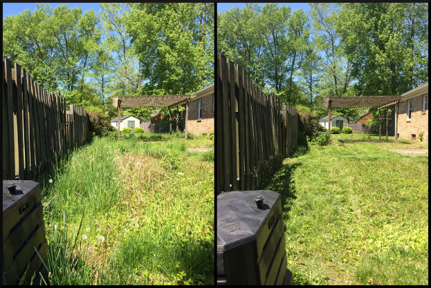 Ein Collage-Bild mit Häusern, einem Dach mit Pfählen, Pflanzen, Gras, einer Baumgruppe, einem Container und dem Himmel.