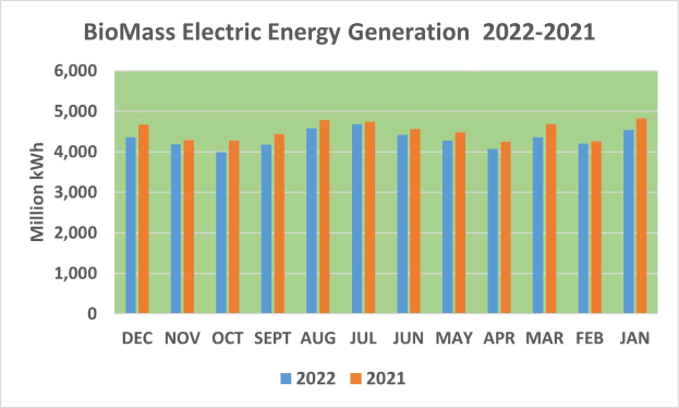 Balkendiagramm, das die Stromerzeugung aus Biomasse von 2011 bis 2022 zeigt, mit begleitendem erklärendem Text.
