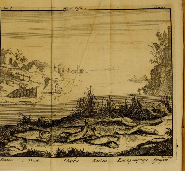 Offenes Buch mit einer Illustration einer Flussszene, die Fische zeigt, die zwischen Pflanzen, Bäumen, Häusern und anderen Gegenständen schwimmen, mit Text unten.