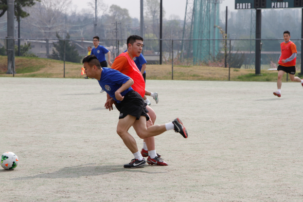 Spieler sind beim Fußballspielen auf einem von einem Maschendrahtzaun umgebenen Feld zu sehen, mit Bäumen, Leitern und Strommasten auf der anderen Seite.