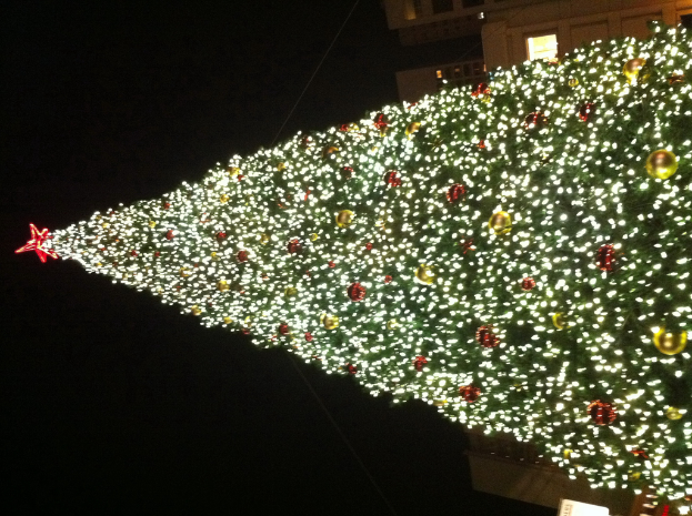 Ein Weihnachtsbaum mit Lichtern, Schmuck und einer Sternspitze.