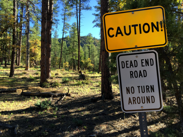 Vorsichtshinweis in einem Wald mit der Aufschrift "Sackgasse - Keine Wende" mit Bäumen und klarem Himmel im Hintergrund.