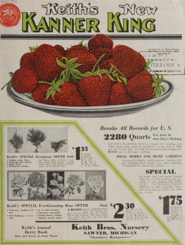 Ein Teller reifer, roter Erdbeeren mit "Keith's KANNER KING" in fetter, weißer Schrift darüber, vor einem hellgelben Hintergrund.