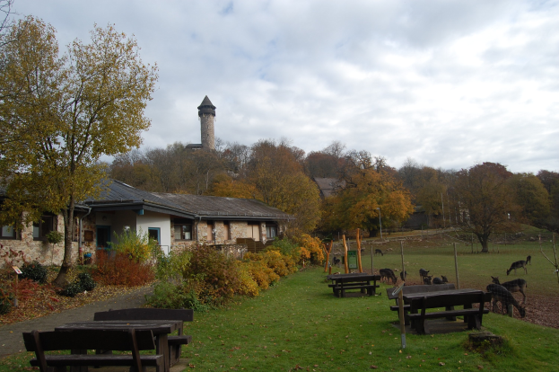 Ein Park mit Bänken, Tischen, üppiger Vegetation, Bäumen, einem Gebäude mit Fenstern und einem Turm im Hintergrund, weißen Wolken am Himmel und grasenden Tieren.