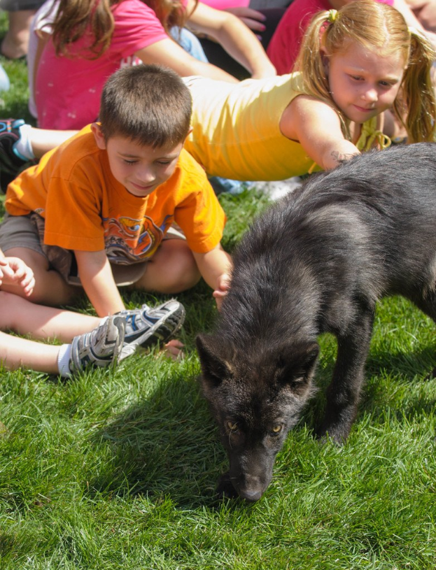 Eine Gruppe von Kindern sitzt auf dem Gras mit einem Hund.