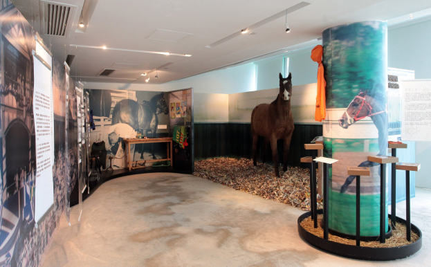 Ein Museumsausstellungsstück mit einem Pferdeexponat, Informationsplakate an den Wänden, einem Tisch mit Gegenständen und Deckenleuchten, mit dem Boden unten sichtbar.