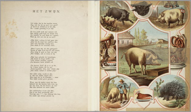Ein aufgeschlagenes Buch mit Abbildungen von Schweinen, Hühner und anderen Bauernhoftieren, mit Text auf der linken Seite.