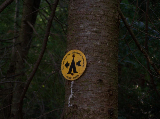 Ein Baum mit einem Warnschild daran, umgeben von vielen anderen Bäumen in einem bewaldeten Gebiet.