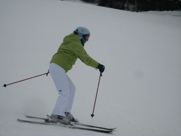 Eine Person fährt Ski auf einer schneebedeckten Piste, umgeben von vielen Bäumen.
