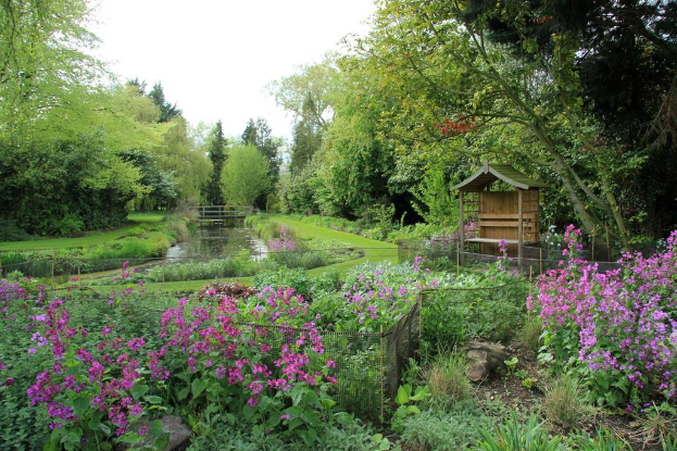 Eine Gartenansicht mit zahlreichen Bäumen, Pflanzen und einer Rasenfläche, mit einem Zaun, einer Brücke und einem hölzernen Objekt unter einem Himmel.