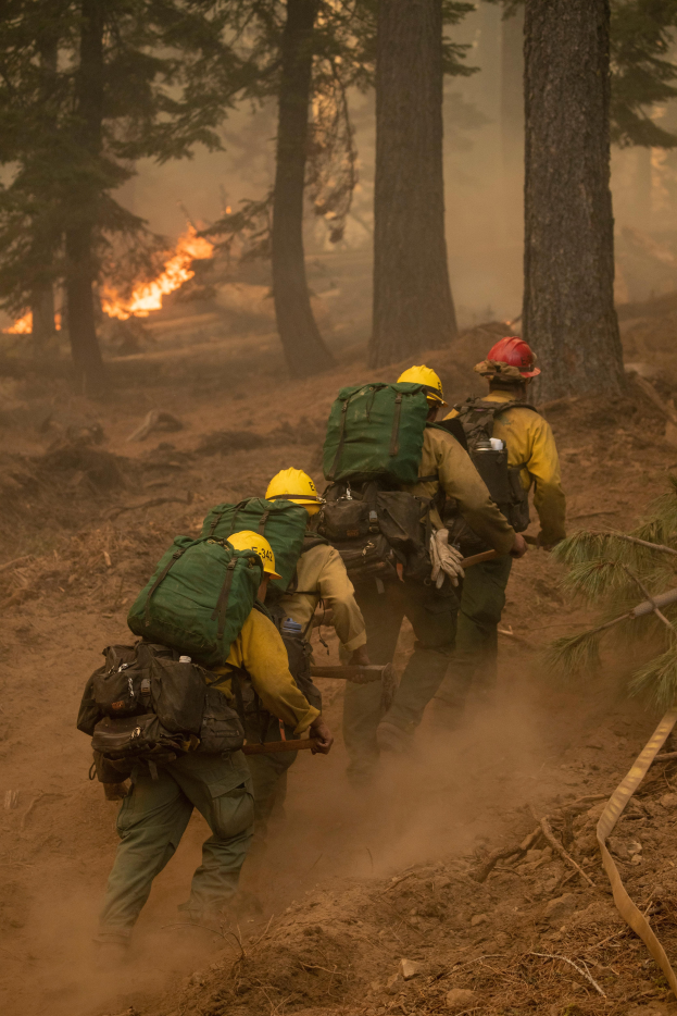Eine Gruppe von Feuerwehrleuten in Helmen und Rucksöcken geht durch einen Wald mit einem Feuer in der Ferne.