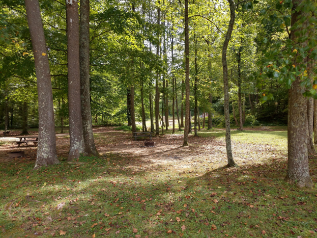 Ein Park mit verstreuten Bänken unter Bäumen, die farbenfrohe Herbstblätter zeigen