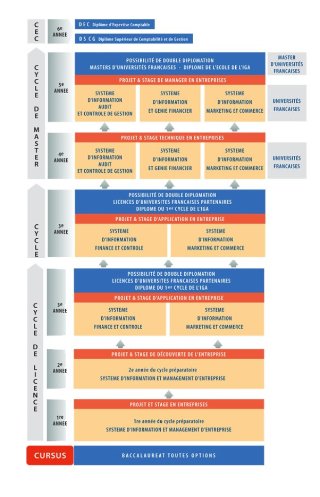 Diagramm der organisationalen Struktur eines Unternehmens, das die Phasen des Geschäfts growths mit verbundenen Boxen und beschreibendem Text zeigt.