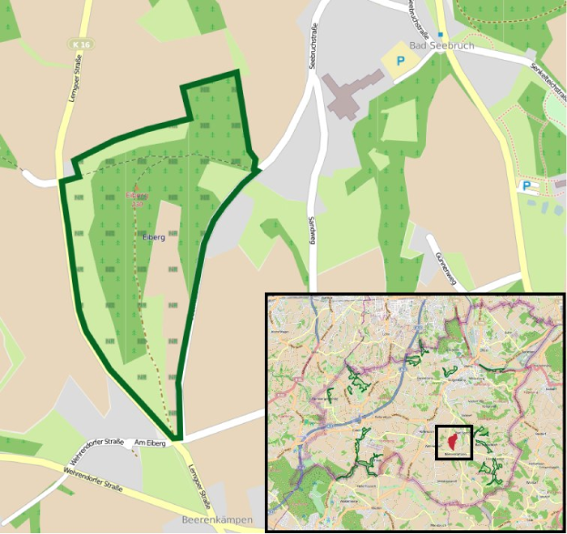 Ein detaillierter Stadtplan mit einem zentralen grünen Bereich, der für eine geplante Entwicklung markiert ist, umgeben von Straßen, Gebäuden und Sehenswürdigkeiten.