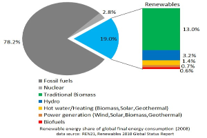Ein Kreisdiagramm, das den globalen erneuerbaren Energieverbrauch im Jahr 2008 nach Energiequelle wie fossile Brennstoffe, Wasserkraft, Biomasse und Solarenergie aufteilt.