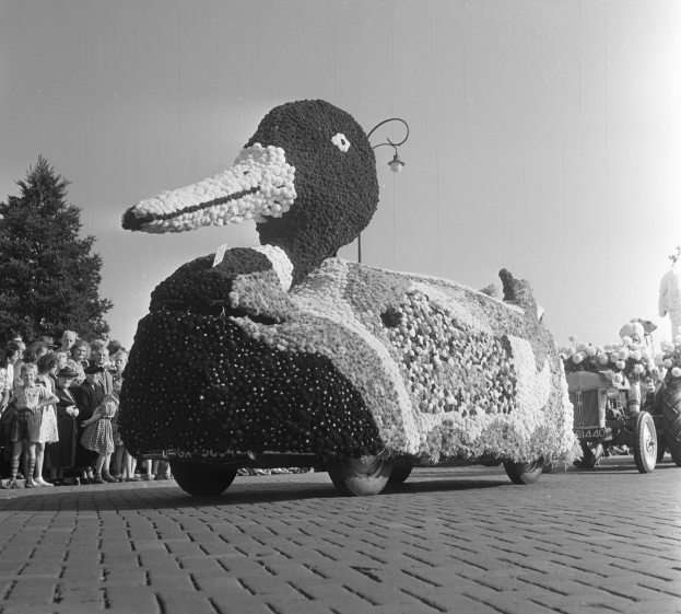 Ein Schwarz-Weiß-Foto eines mit Blumen geschmückten Entenwagens bei einem Umzug, mit Menschen auf der linken Seite, Bäumen und einem klaren Himmel im Hintergrund.